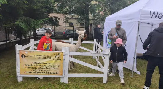 atrakcje dla dzieci podczas Dni i Nocy Krzywej Wieży 2025