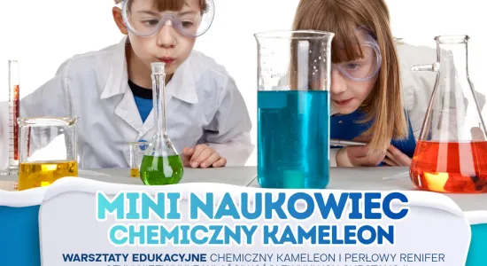 MINI NAUKOWIEC