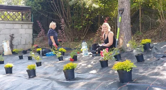 0350654d3d7afe00b8013b2afa94eab6