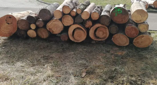 0c2fd44c7f50bfc928a67628d508c161