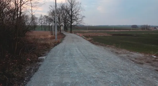  DSC118