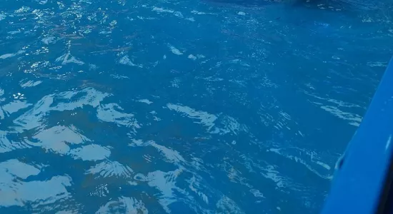 450634008 891127113046671 6030281470993241678 