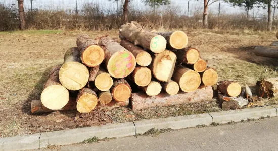 0df00bc6f369862011e7c90124655a3f