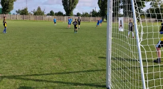 0e07913dc232e99da7e2a16546671a33