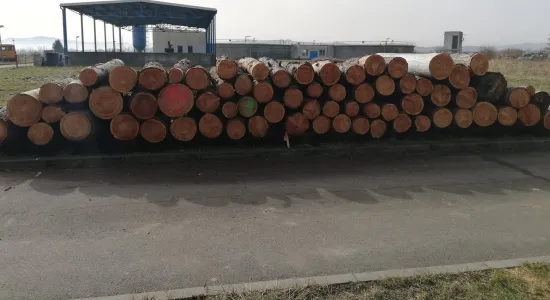 121830a72a0832bb48cc1153cf430fc0