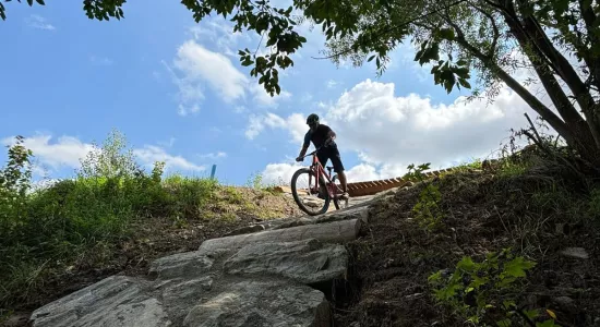 452222646 26301285252818955 4560025247659065968 