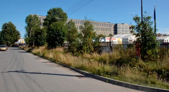  DSC585