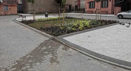 IMG 20190705 080113 resized 20190715 12482811