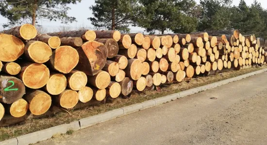 15211c2786683ab17b7b94c6c32df642