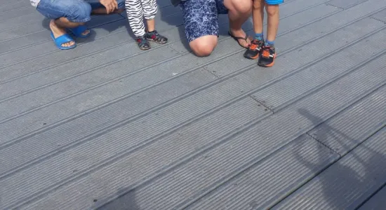 15435c6f37596e6d0bb85ce5002702f6