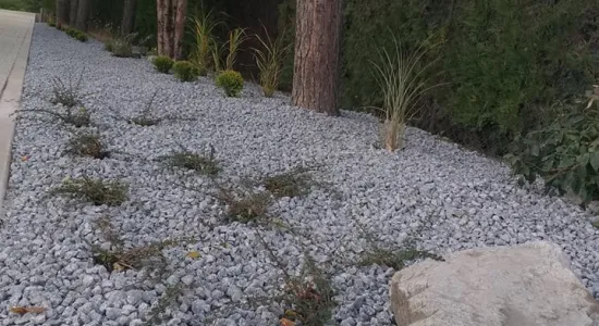 247335561 169916868593562 2028044743219623005 n (002