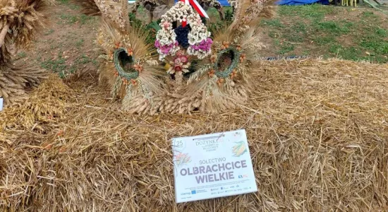 456681975 504650172181913 8248743499479260752 