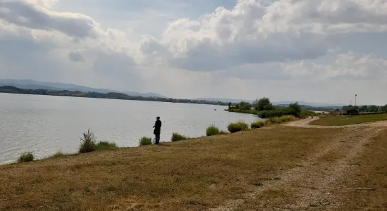 2229e4998f8976016676c24af8d1c327