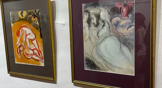 22d3ed544ed2bdf6eb645ae5dd986e54