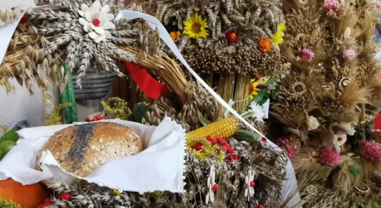 240877747 572064890603004 2406546487509588139 