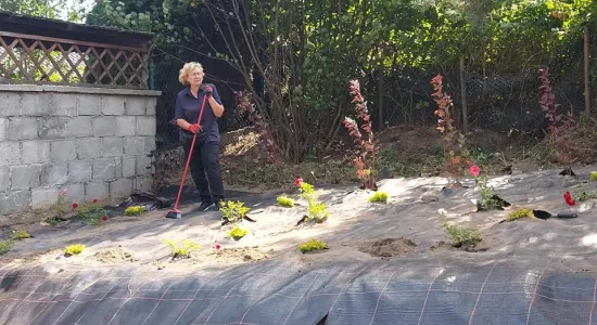 29a4e18d61a3d8f8c54f8ba21dcd480b