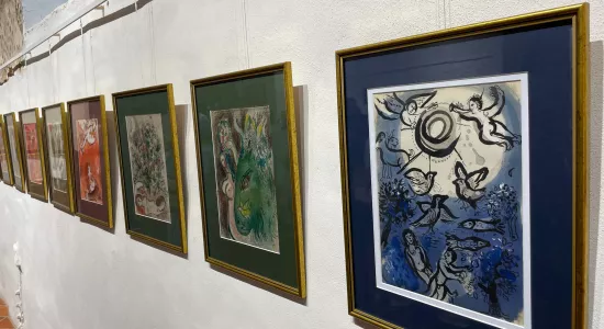 2db0049eaf2003f84998b19d20e6b827