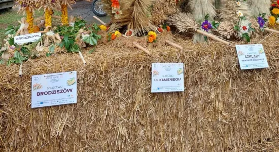 455607857 833109975575758 4020416480177409250 