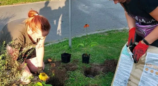 302c82449c0fb73a4609d02fb665213a