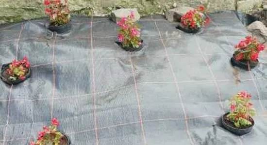 30aa9570d74d6f26adc0e197666a6ca4