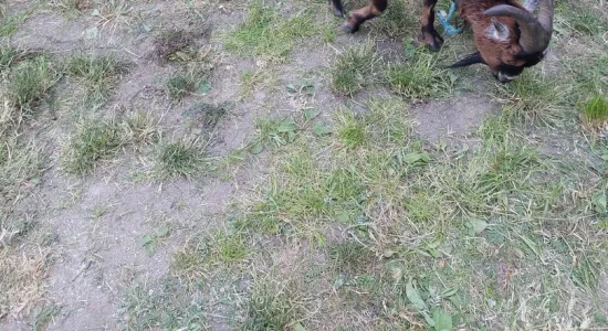 351211521 713289927235773 6823314774275404165 