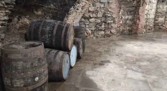 346101c160564c8ad79af52b324d450a