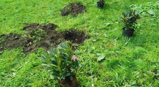 34b4e1b385ee197105f592c0dc17a5cf