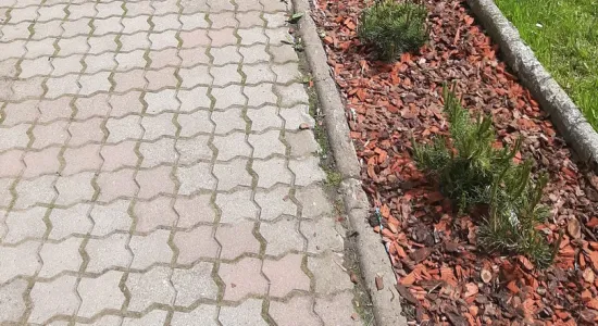 37cd6b1d63e7cc518abc0081a44805d2