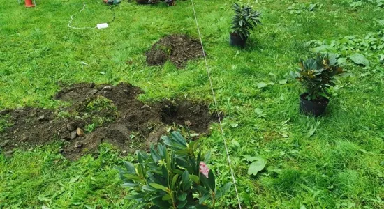 386425556ecc401dc3d8b8a64a5cb20b