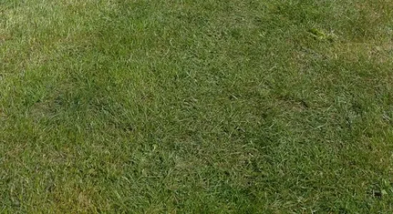 3a62a44d8037dcff4f5913cf5eaf748b