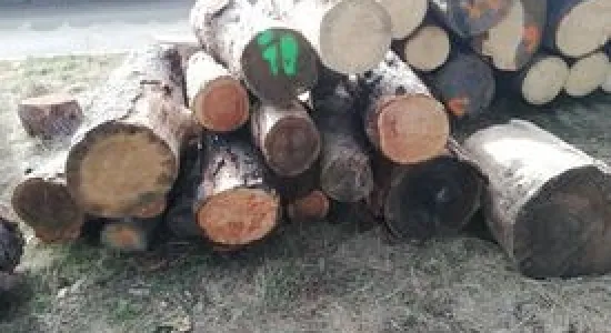 3cf48ac2c9f50508116ec996b3a1e658