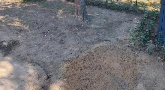 41ae930d3a9de054f16e97ab06650a0a