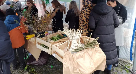 442e56ef36561f84acf41cf75aab1918