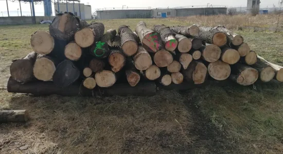 4603f239586e6b12ecc97100a01522c2