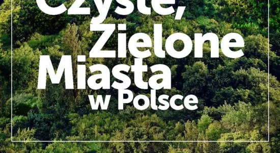 czyste zielone miasta strona 3