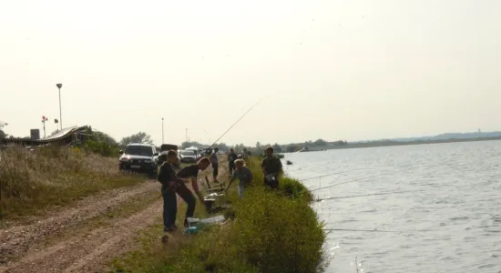  DSC510