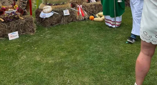 48fa7b04a1839b0e031c329d0f00f2b8