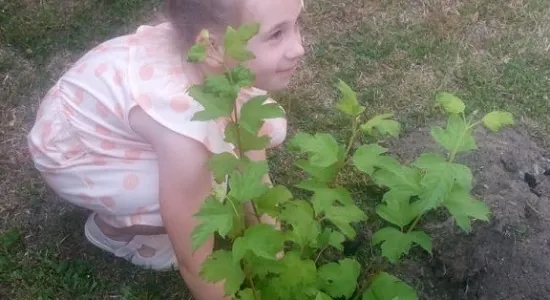 49650994e37edc33a1d589a025eebb7e