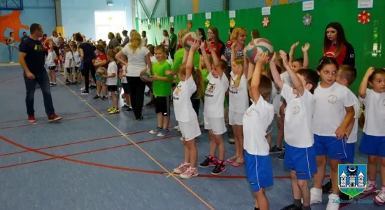 46771-bi