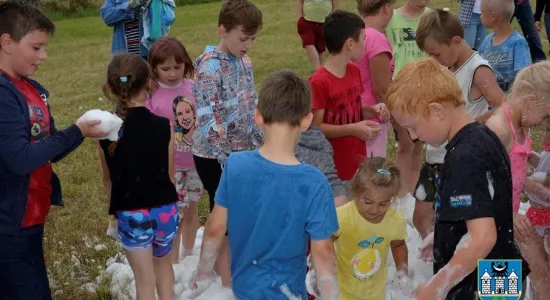 47856-bi