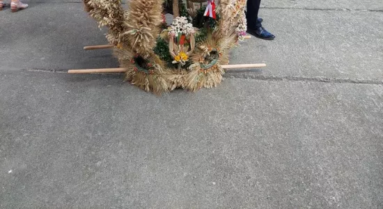 456281170 834446408810413 1719200306479604558 