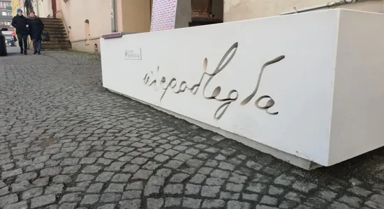 4b8633ba91ed20767c9caad27ee8c2e7