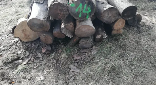 4df2080eac0ad9d3d87643b47f97573b