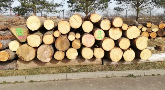 4efcdf29d792774e80695186c7a00fdd