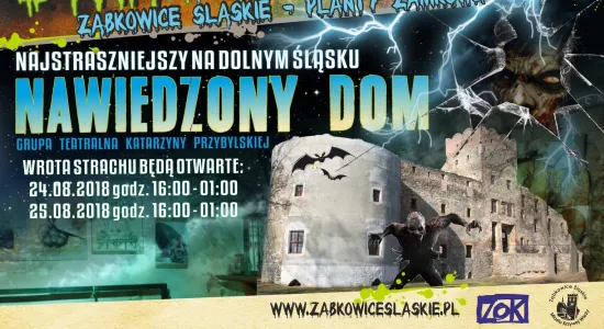 plakat WZF Z PROGRAMEM ww