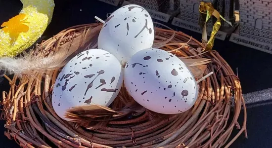 433387473 7492180434158885 7836094535207815487 