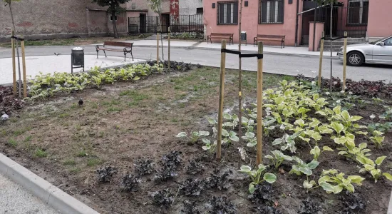 IMG 20190705 080044 resized 20190715 12482852