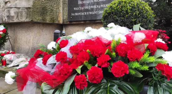 Święto Niepodległości 2020 (4