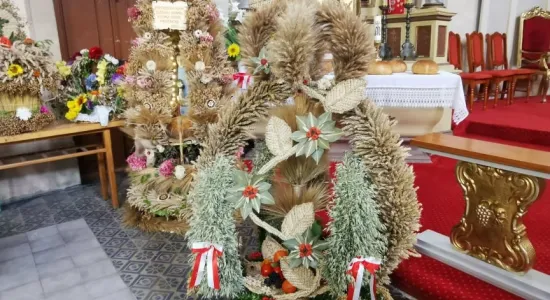 240832811 1630961460427750 5835432860982700487 