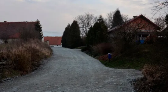  DSC117